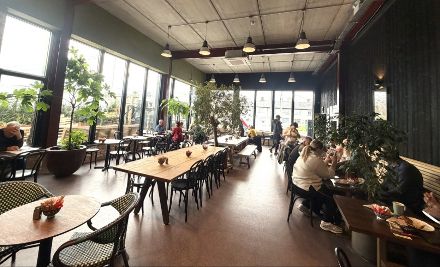 The bright new café extension, with tall windows, long timber tables and leafy plants